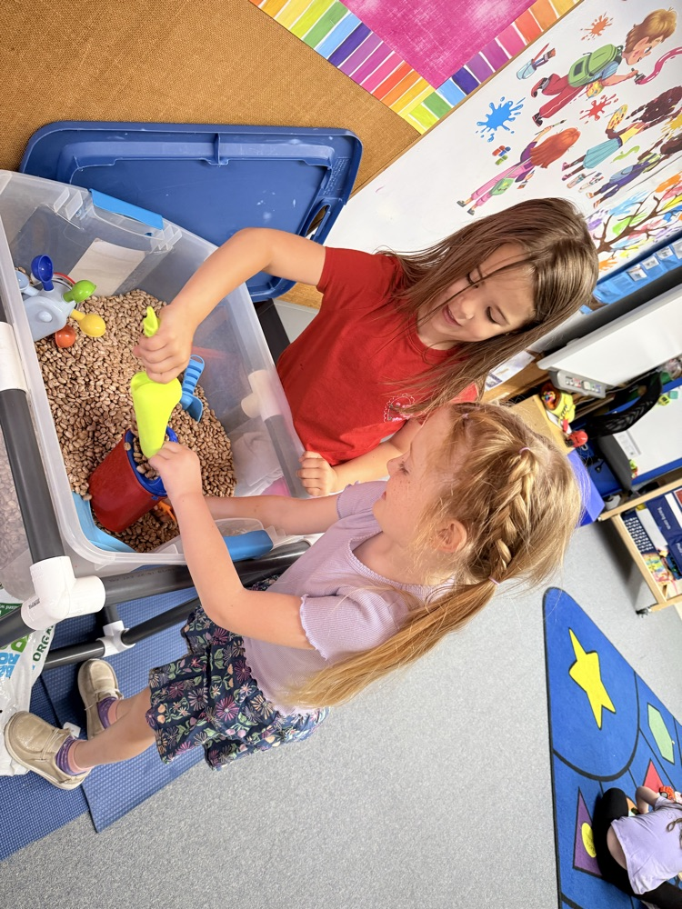 sensory bin 