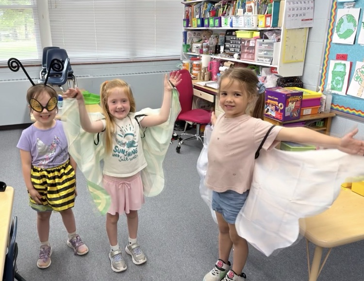 dressing up as butterfly’s and bees