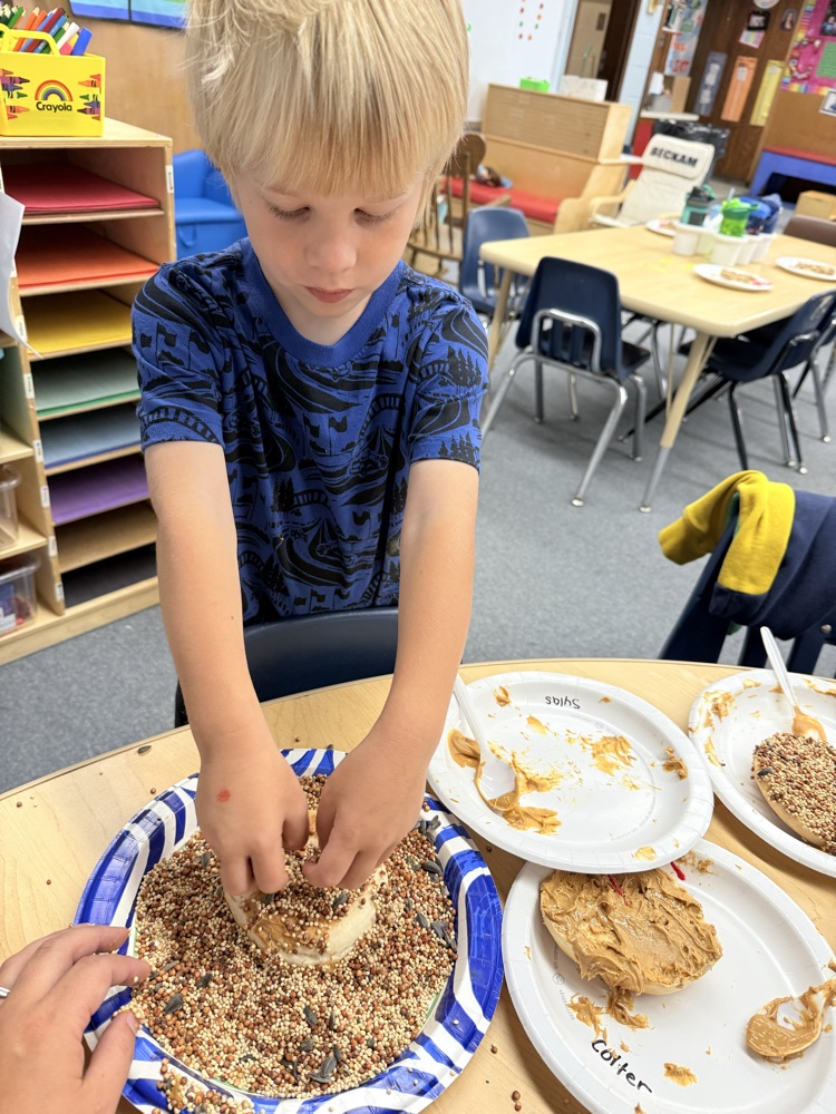 dip it in the bird seed and make sure all the peanut butter is covered! 