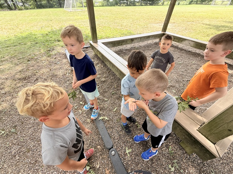we even found a caterpillar outside at recess! 