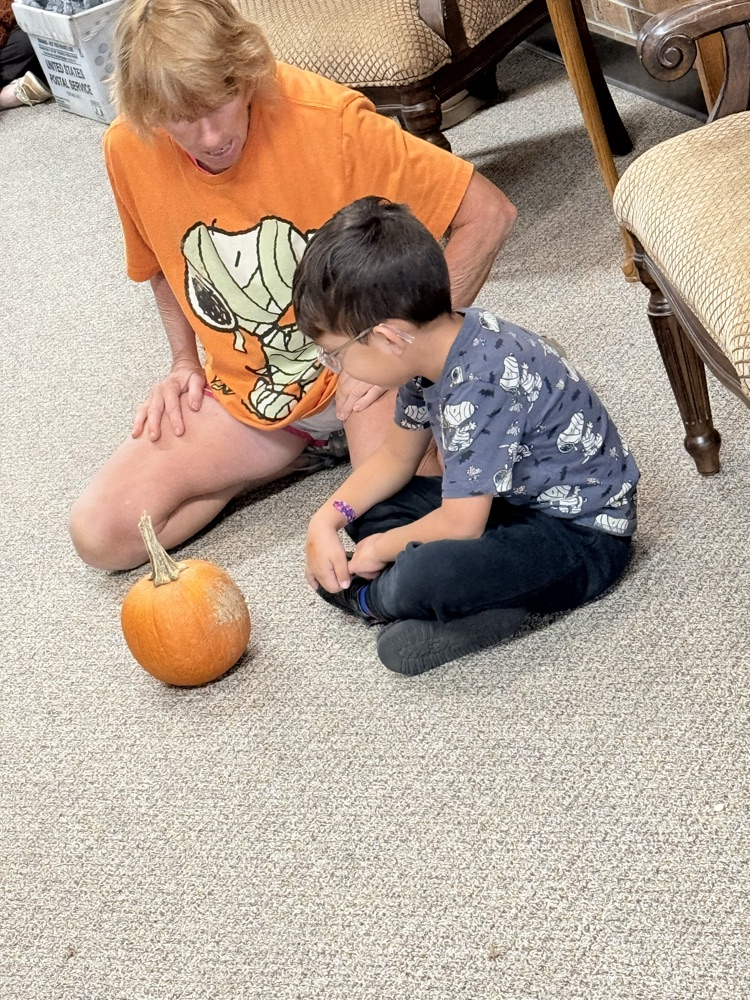 trying to find the pumpkins belly button 