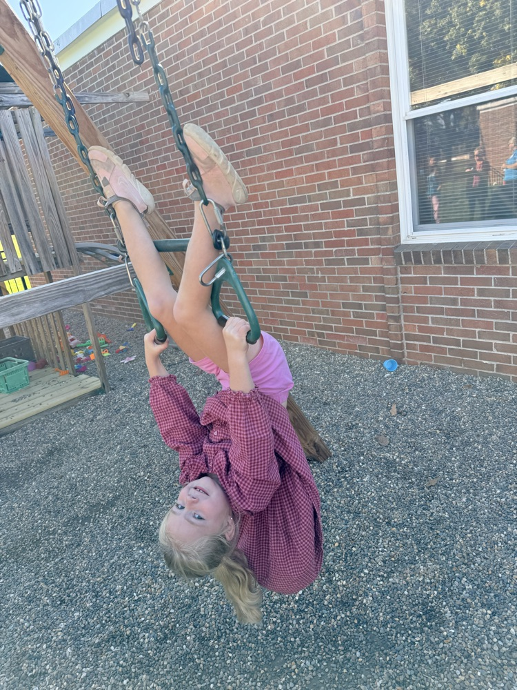 hanging upside down!
