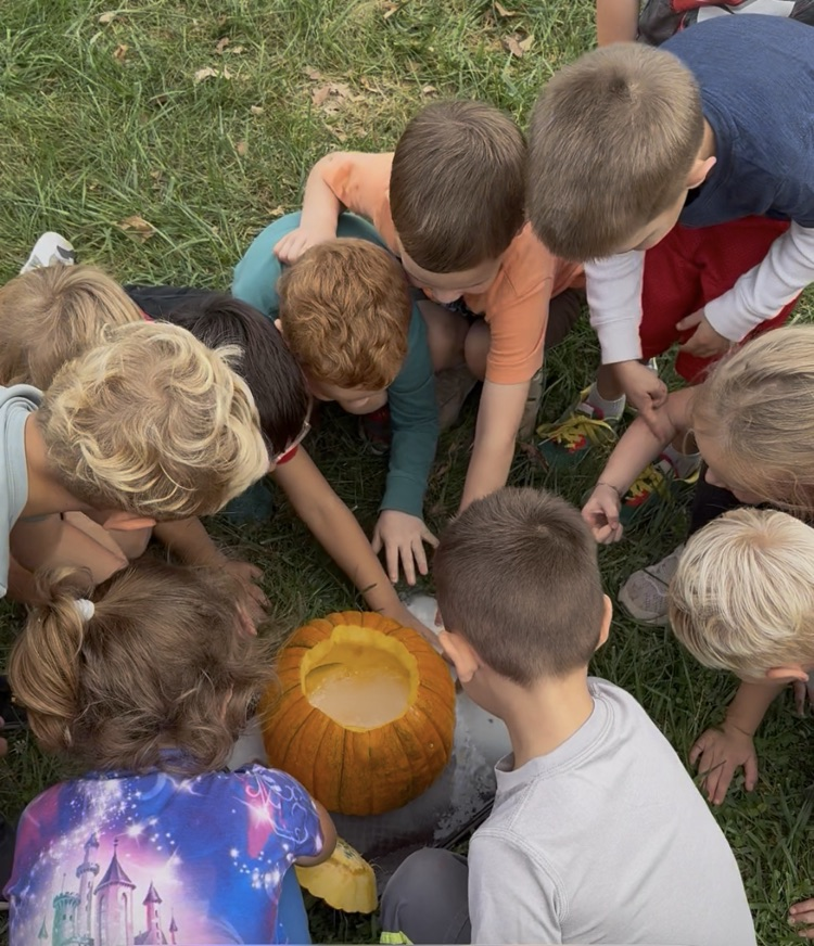 checking out the pumpkin after the puking pumpkin experiment