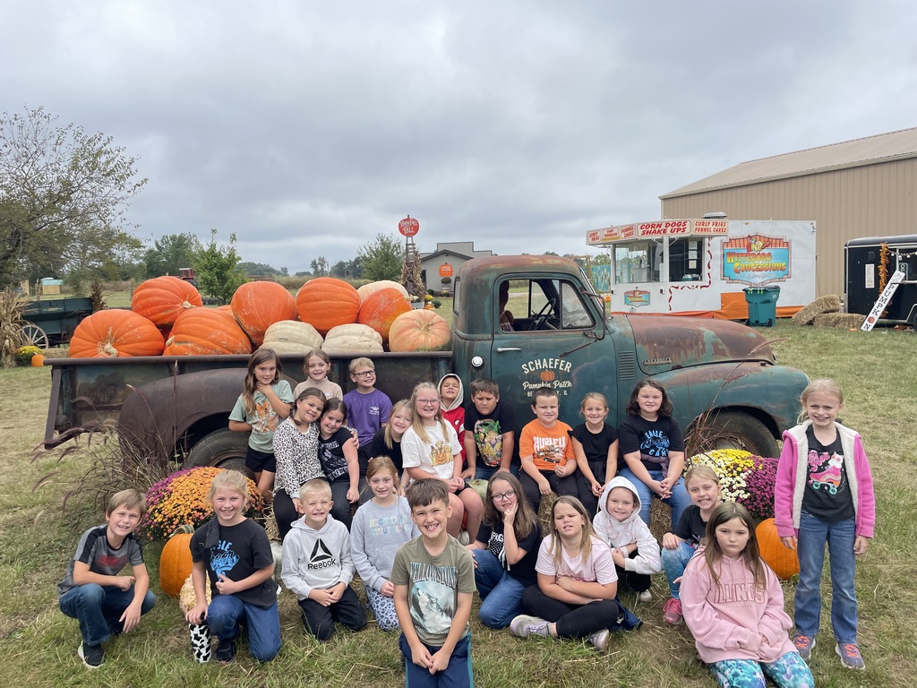 Pumpkin Patch 2