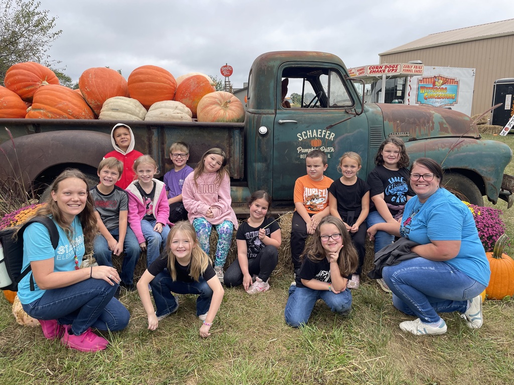 pumpkin patch 1