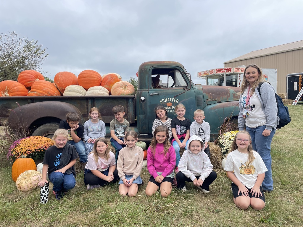 pumpkin patch