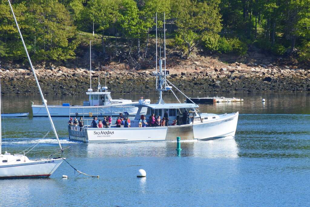 lobstering
