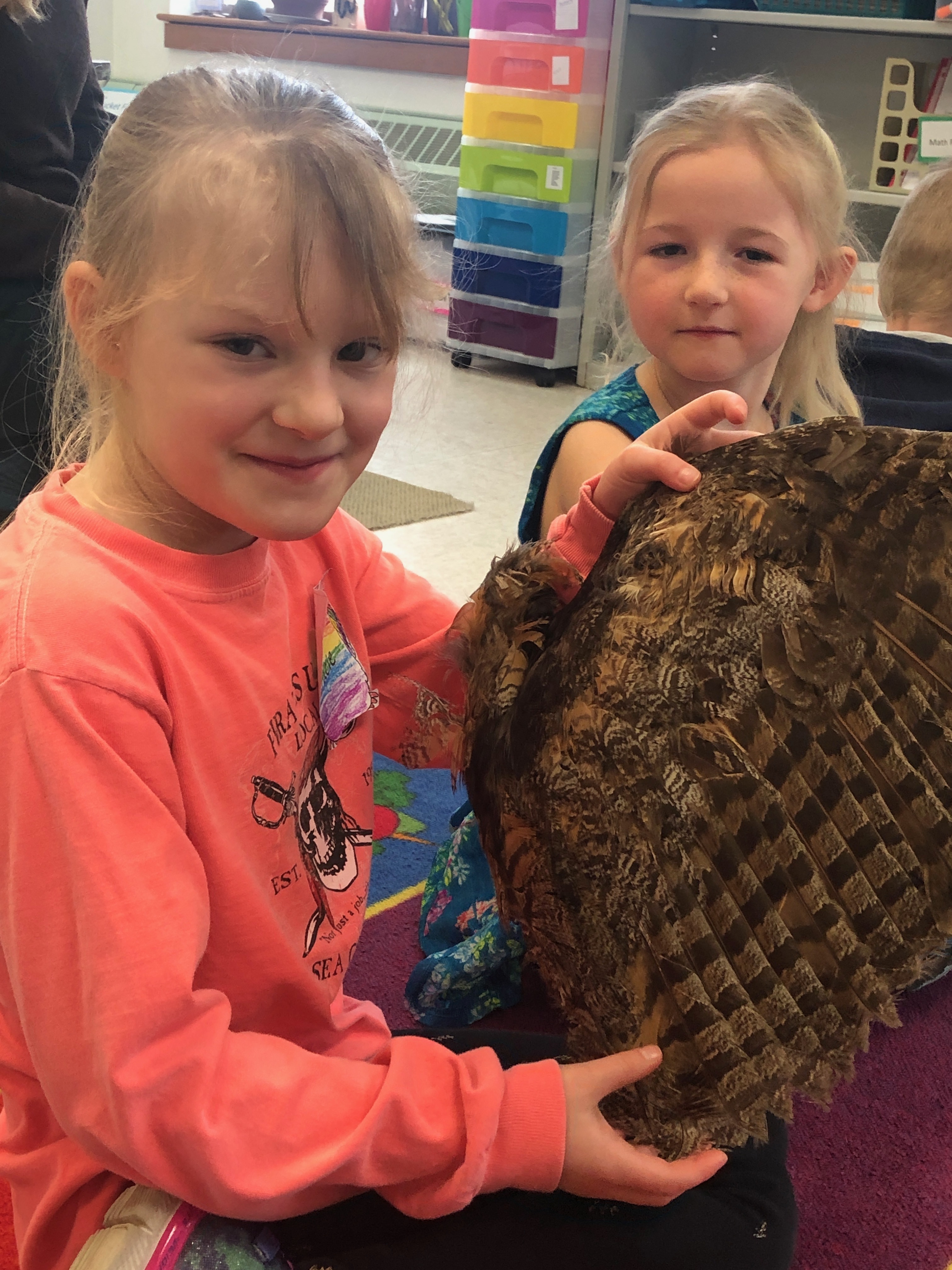 First grade students looking at a bird's wing First grade students looking at a bird's wing