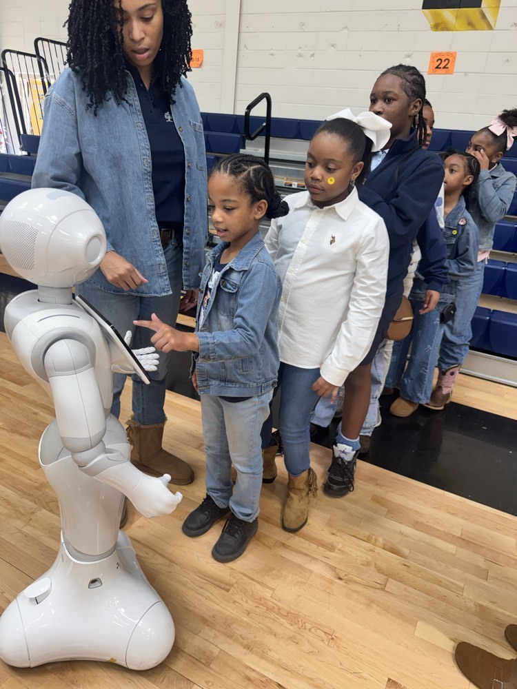 stem day