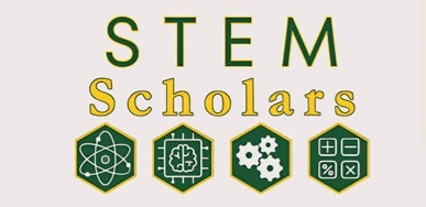stem scholars 