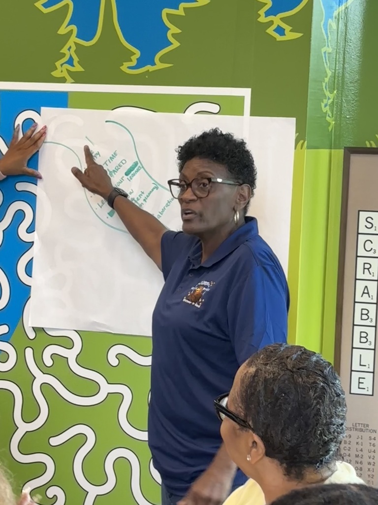 Professional Learning