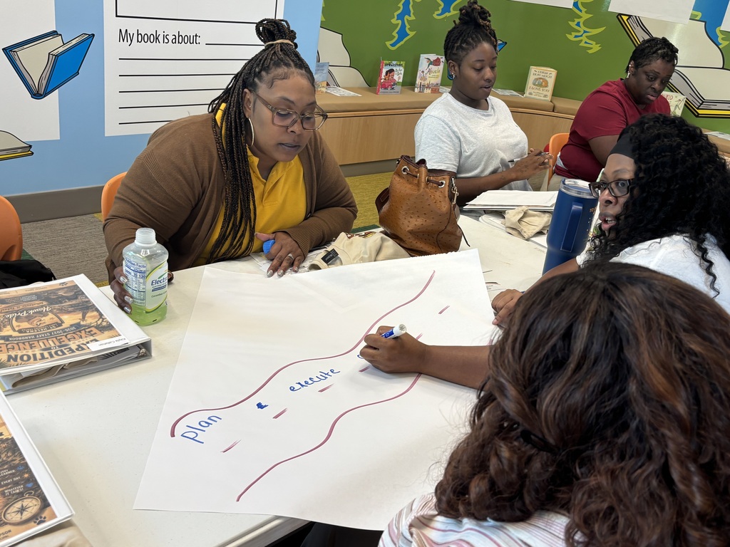Professional Learning