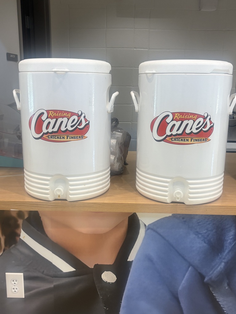 Lemonade day