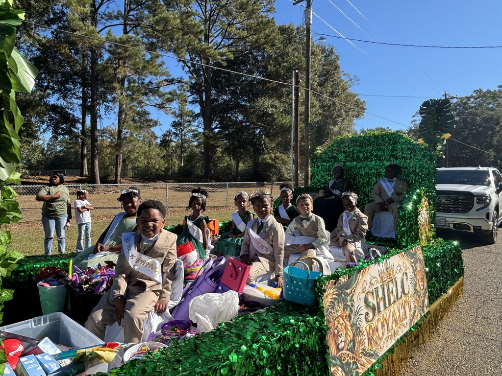 Homecoming court