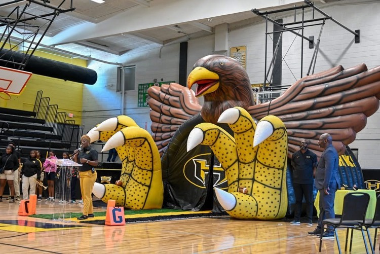 hawks