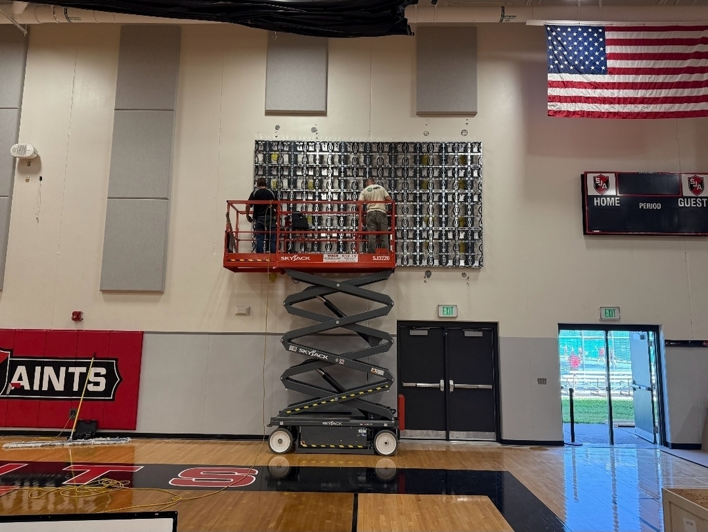 Videoboard