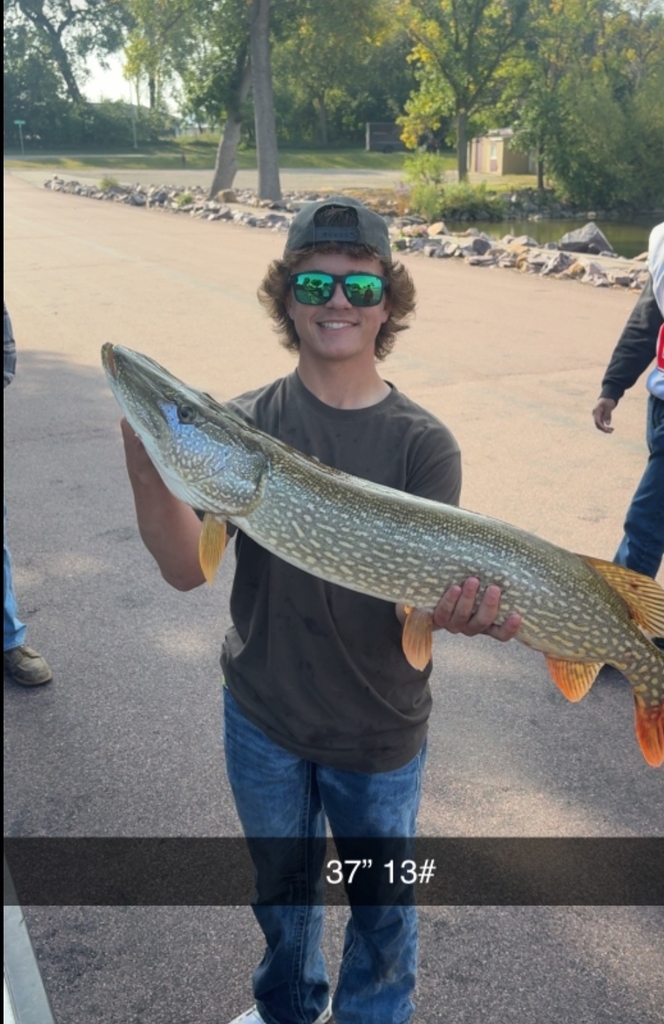 Northern Pike