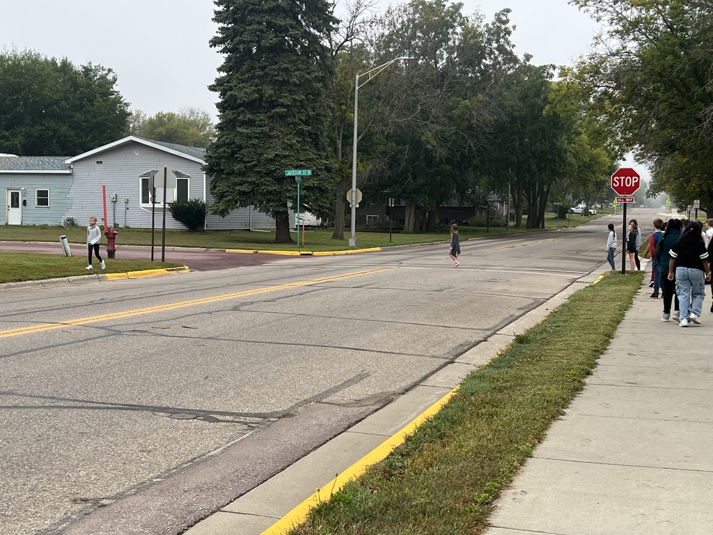 Bus & Pedestrian Safety