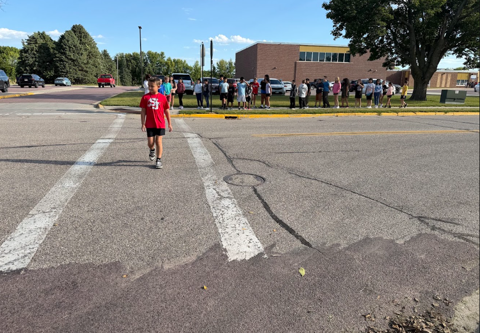 Bus & Pedestrian Safety