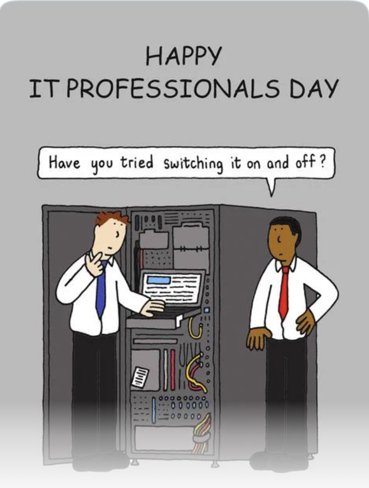 IT Professionals Day