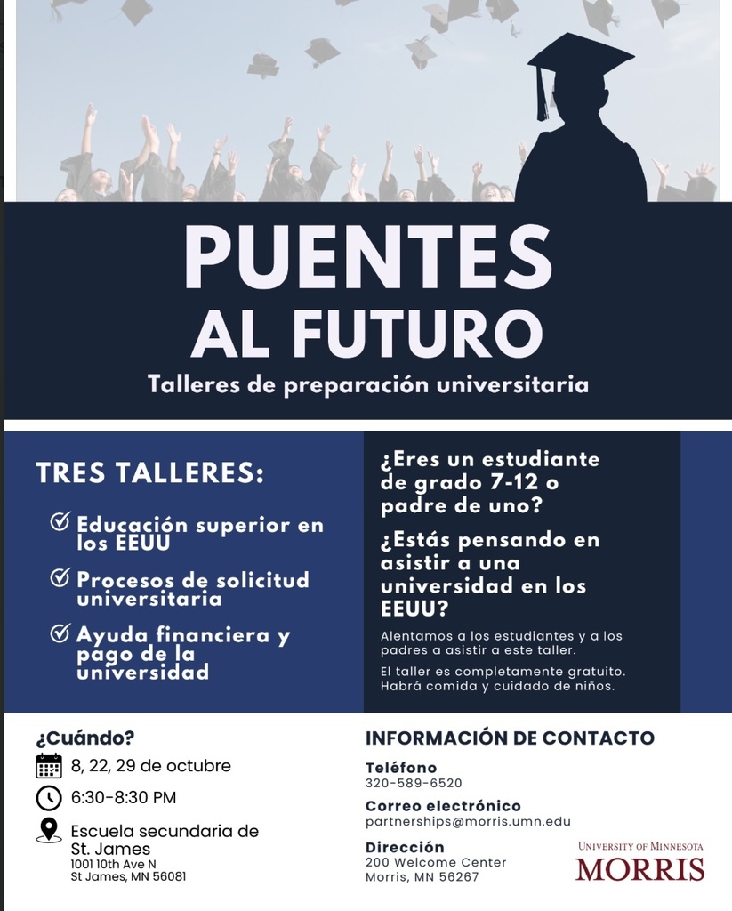 Puentes Al Futuro