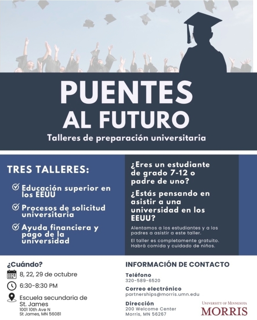 Puentes Al Futuro