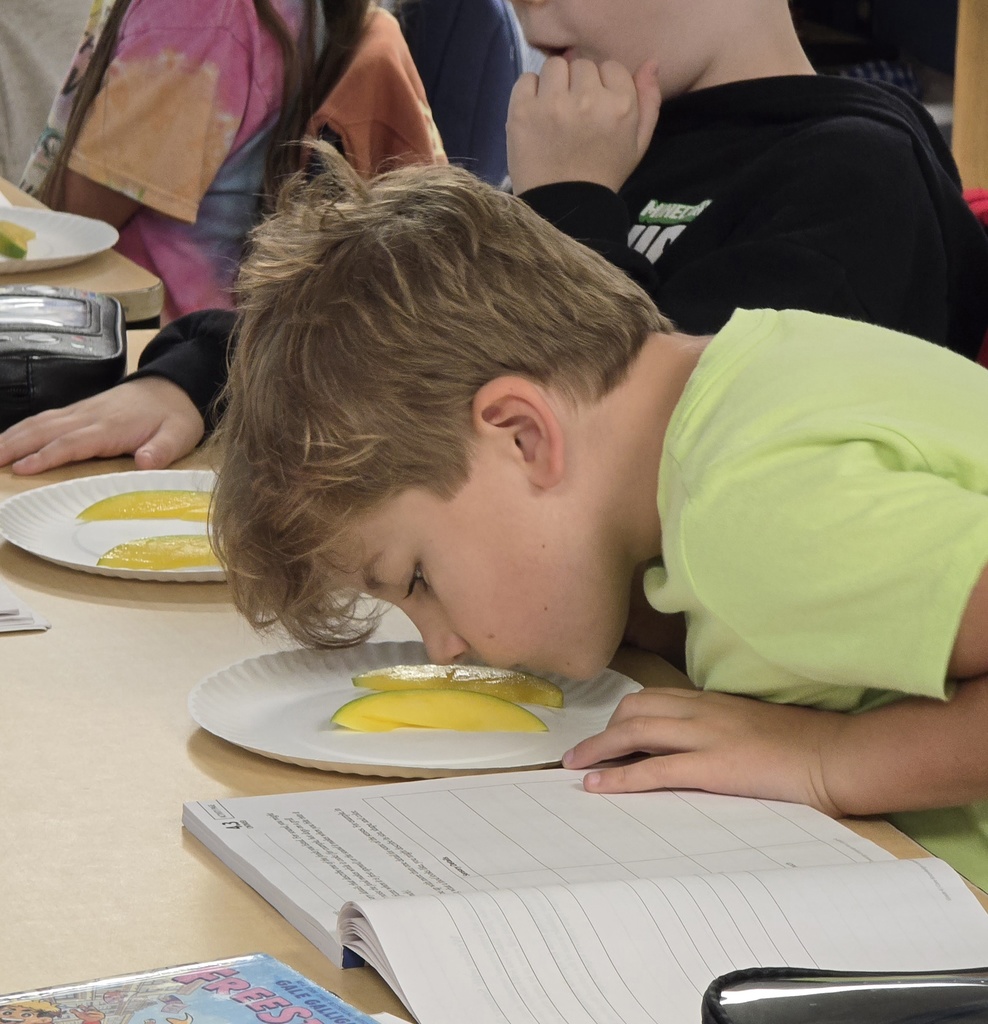 4th Grade explores the sense with mango. 