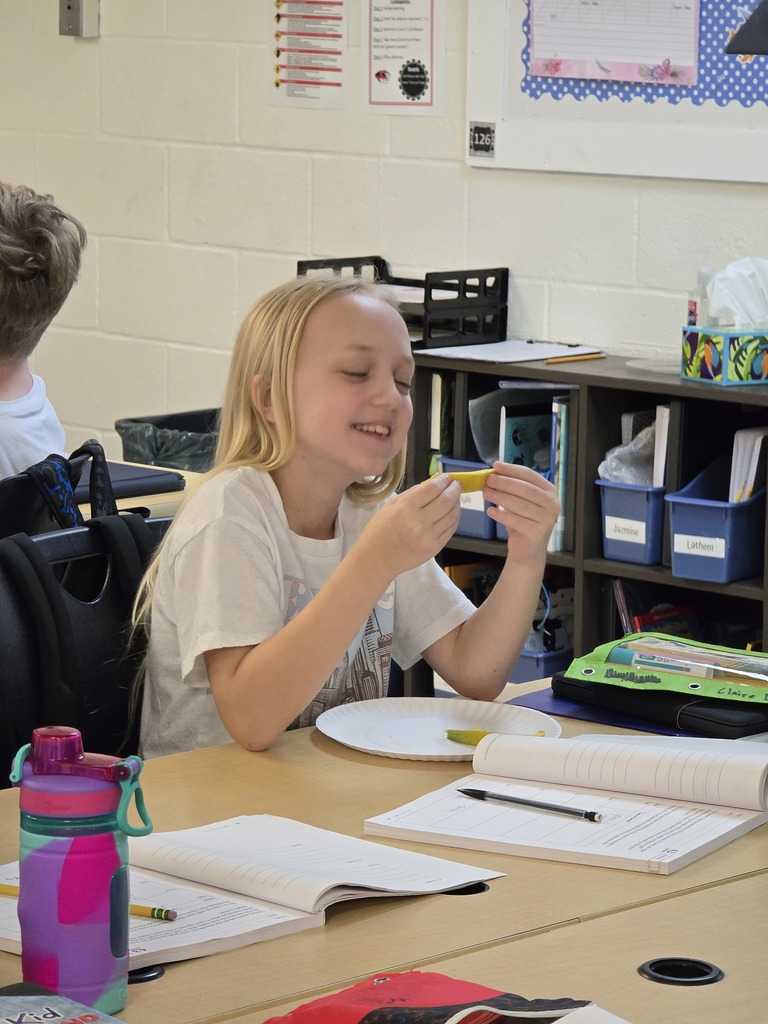 4th Grade explores the sense with mango. 
