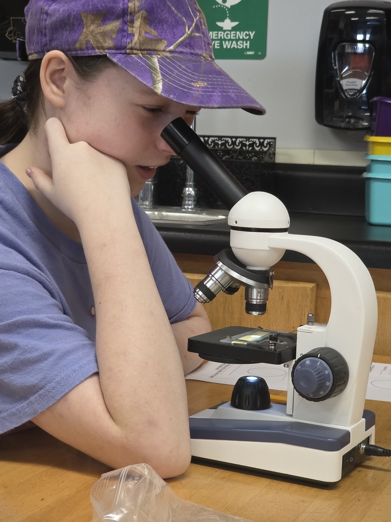 Science Using Microscopes