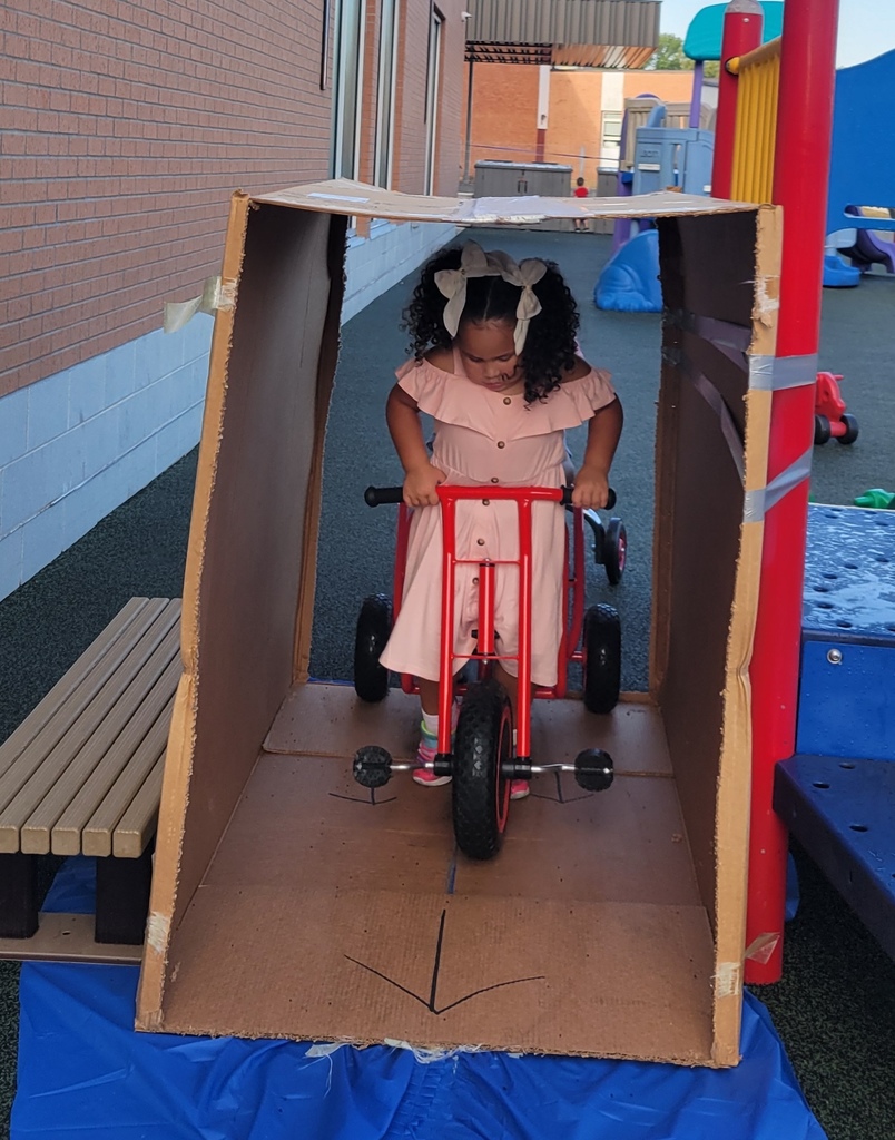 Tiger Cubs Wash Fun!