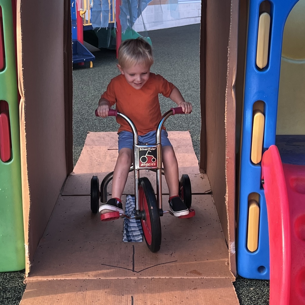 Tiger Cubs Wash Fun!