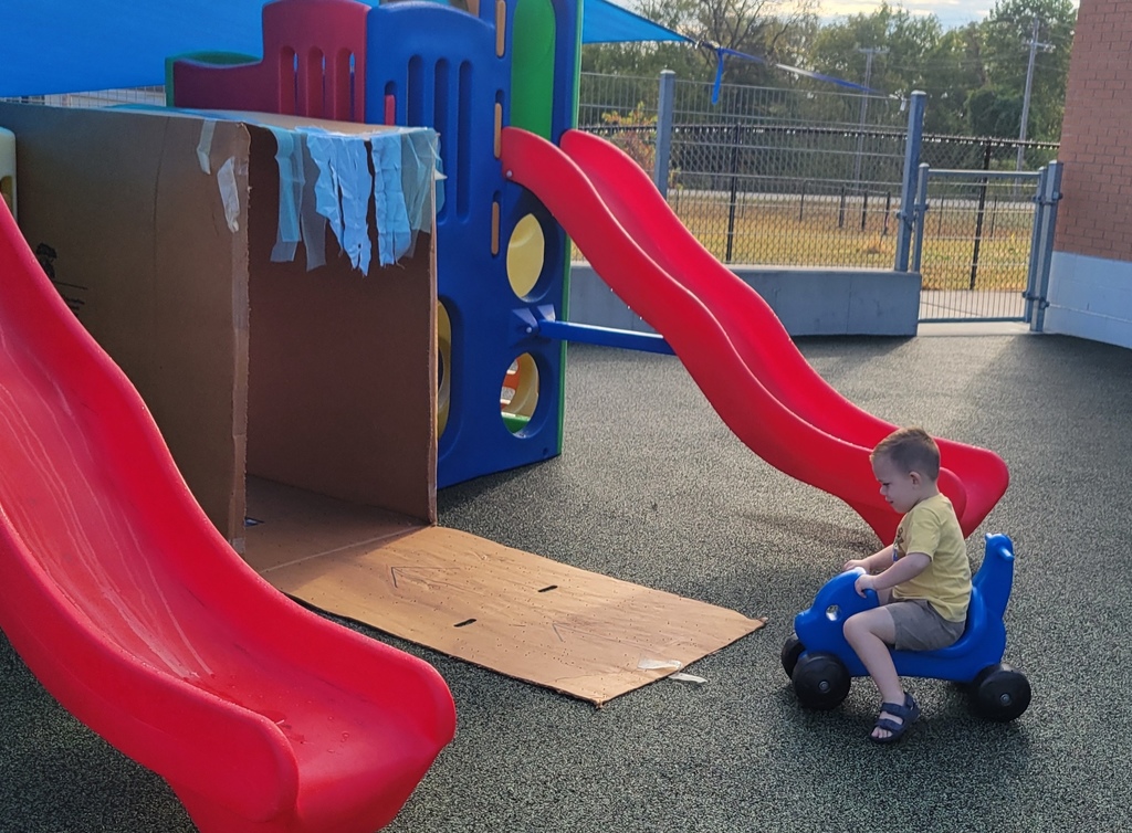 Tiger Cubs Wash Fun!