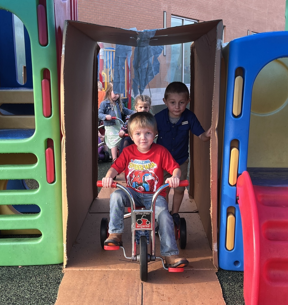 Tiger Cubs Wash Fun!