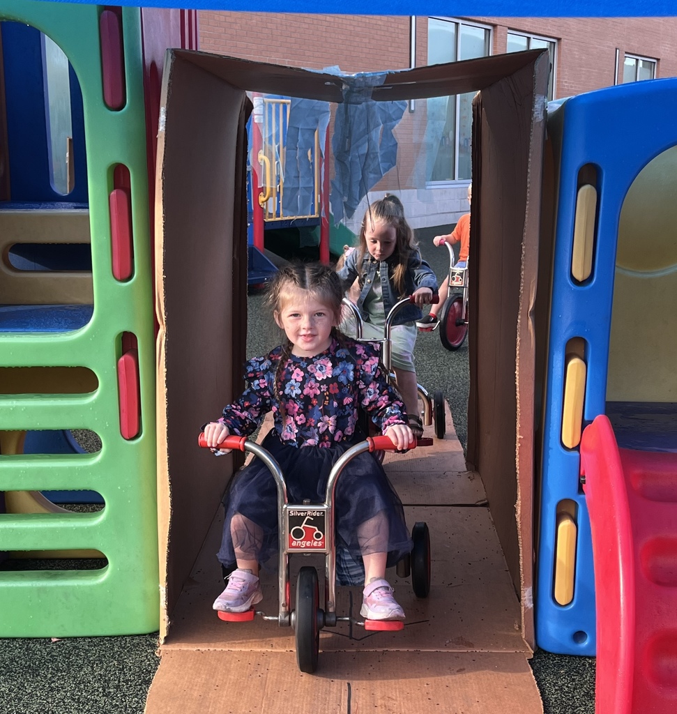 Tiger Cubs Wash Fun!