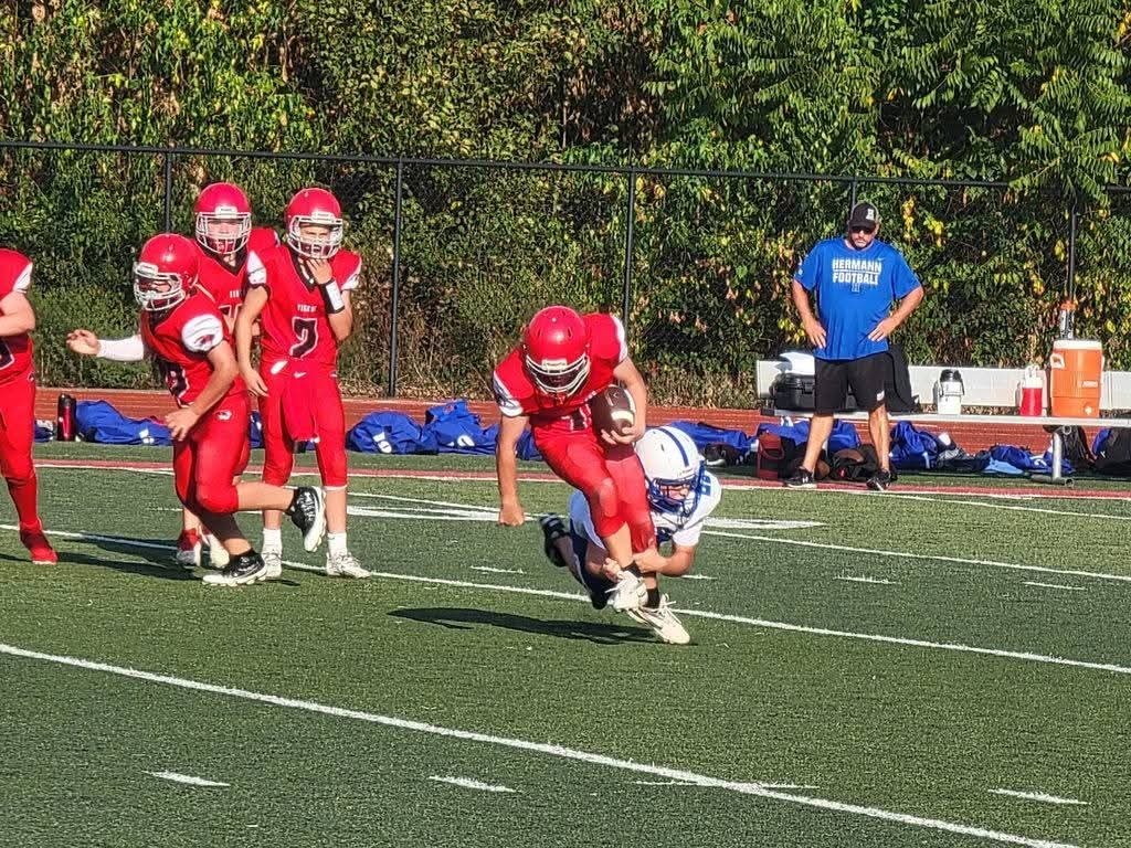 Tiger Weekly Highlights!