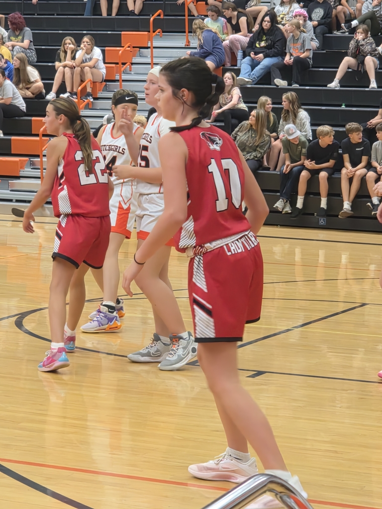 ball vs owensville
