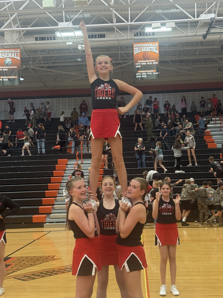 ball vs owensville