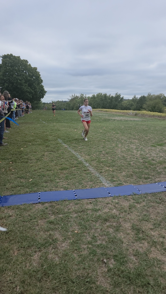 cc at Hermann