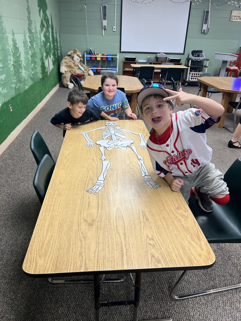 1st grade students created full size skeletons in the library after reading a book about bones.