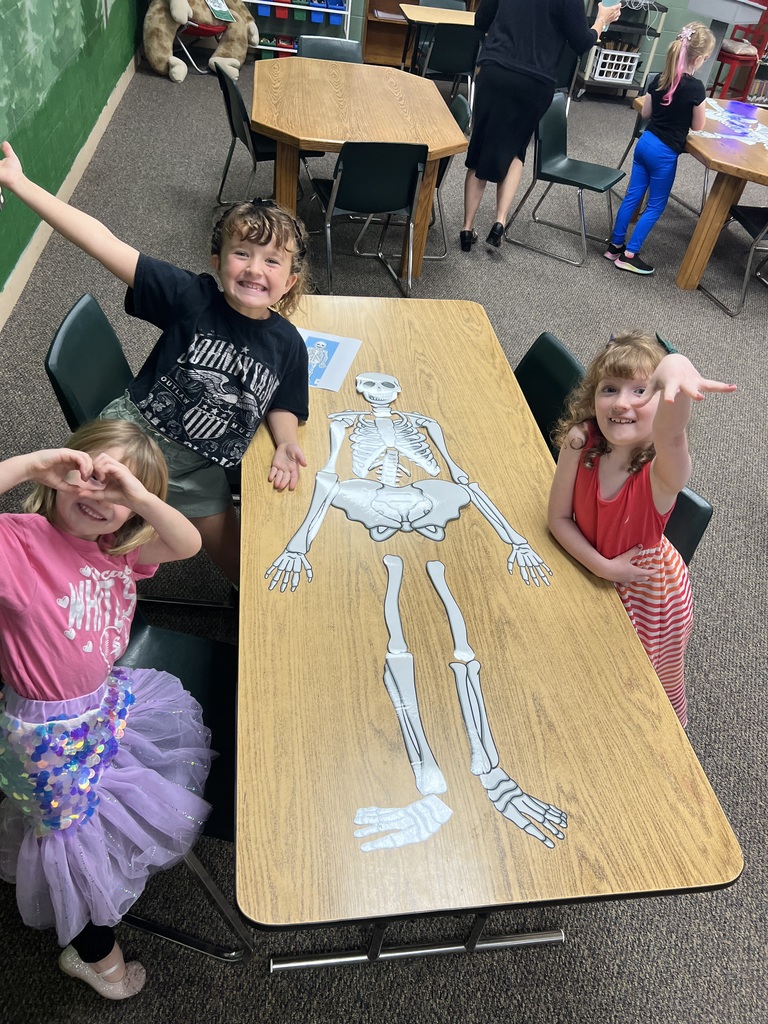 1st grade students created full size skeletons in the library after reading a book about bones.
