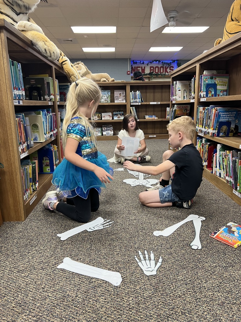1st grade students created full size skeletons in the library after reading a book about bones.