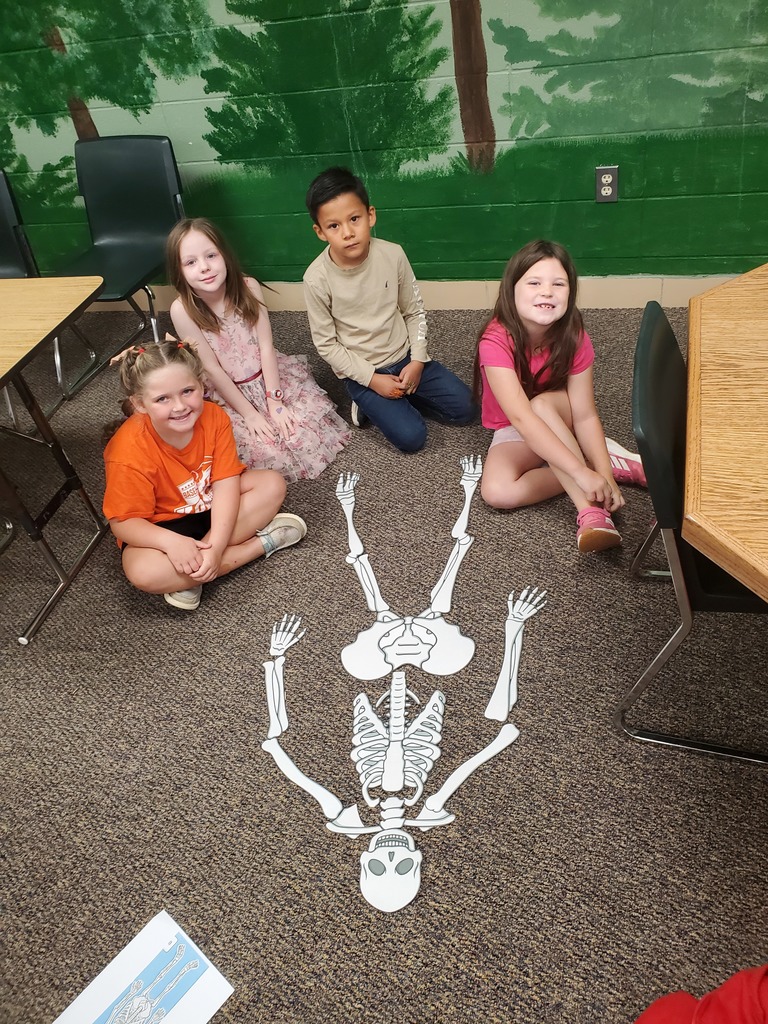 1st grade students created full size skeletons in the library after reading a book about bones.
