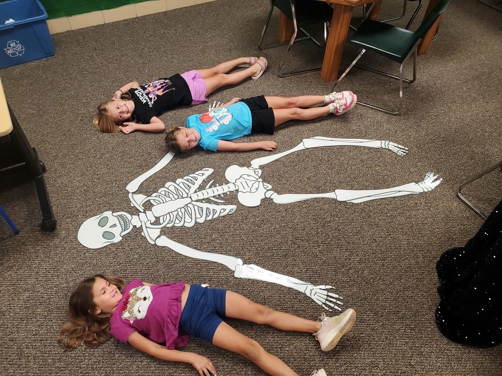 1st grade students created full size skeletons in the library after reading a book about bones.