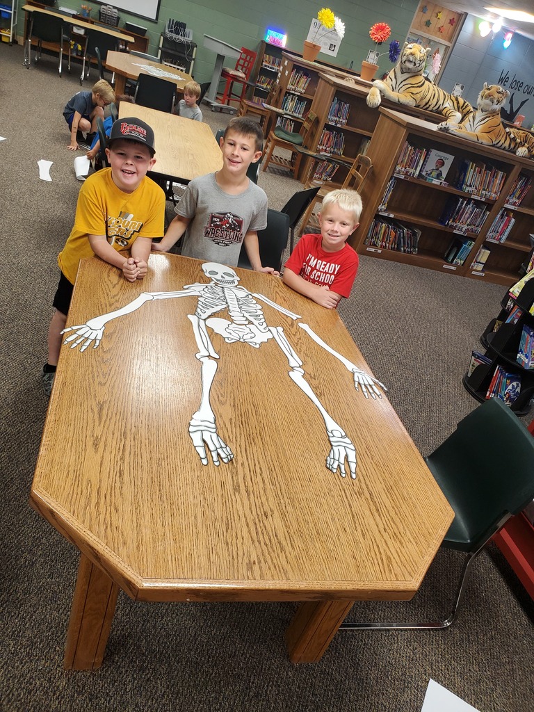 1st grade students created full size skeletons in the library after reading a book about bones.