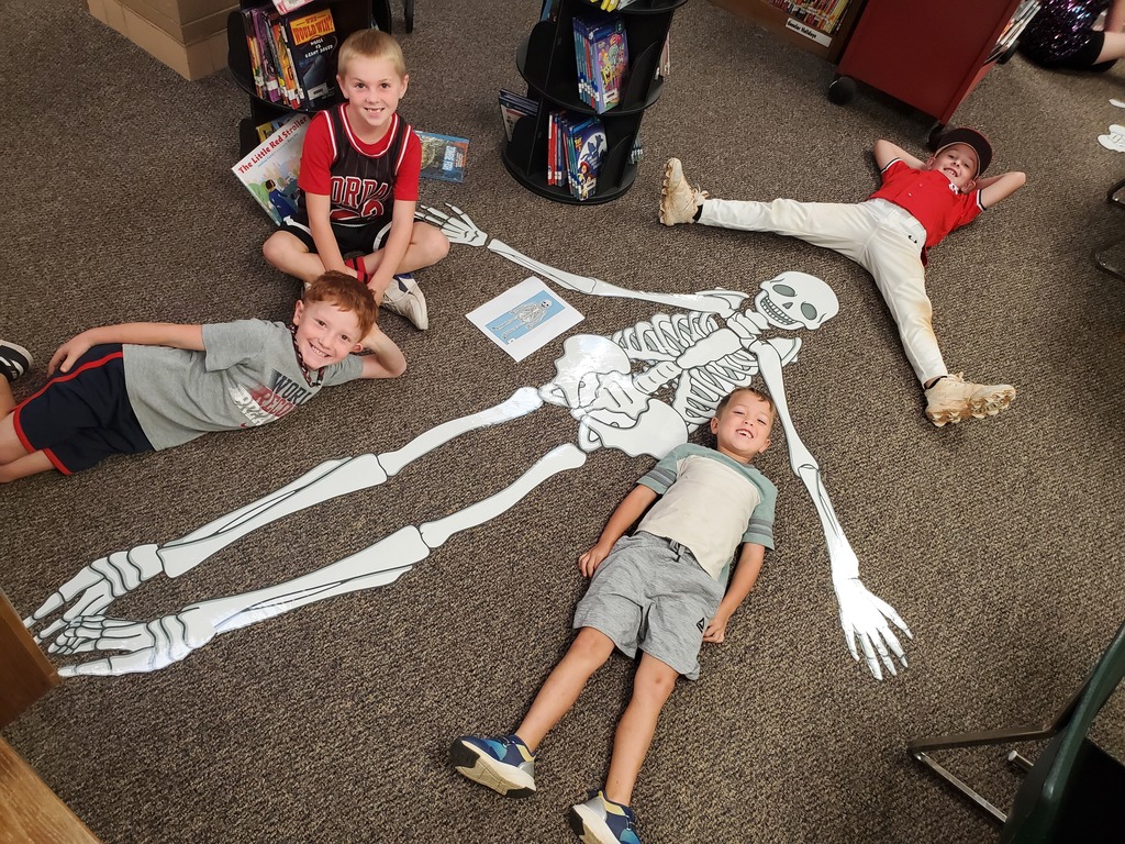 1st grade students created full size skeletons in the library after reading a book about bones.