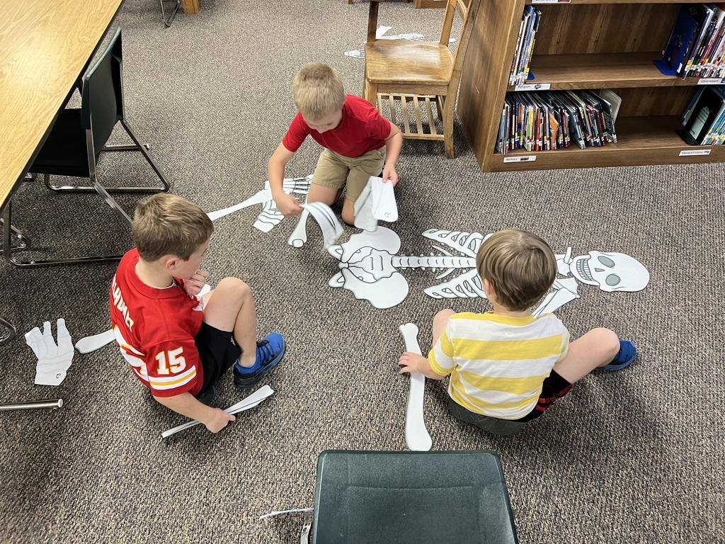 1st grade students created full size skeletons in the library after reading a book about bones.