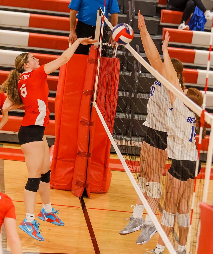 Tiger Weekly Highlights!