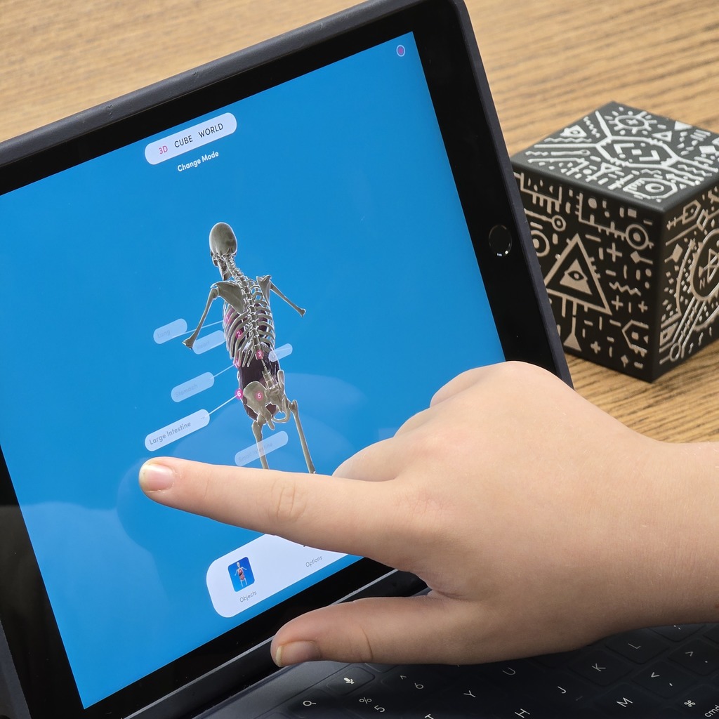 3rd grade students use Merge Cubes in the library to explore the human body for their science unit. 