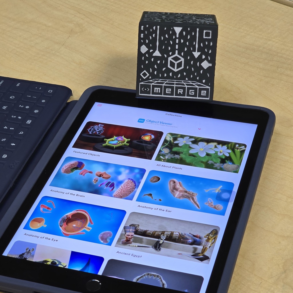 3rd grade students use Merge Cubes in the library to explore the human body for their science unit. 