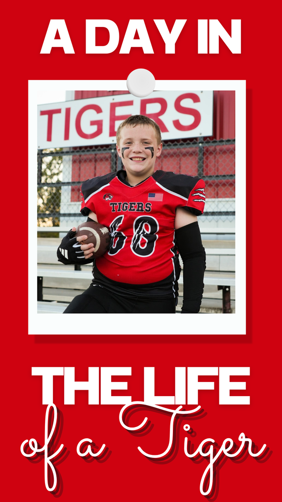 A Day in the Life of a Tiger!